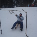 svetoročka snježna alka