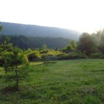 dscf0989