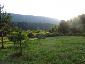 dscf0989