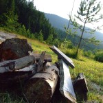 dscf0990