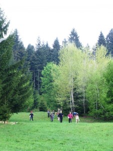 dscf5517
