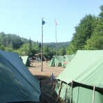 Jarboli pozdravljaju sunce